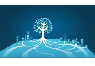 你投出的廣告效果真有業(yè)務(wù)員說的那么神嗎